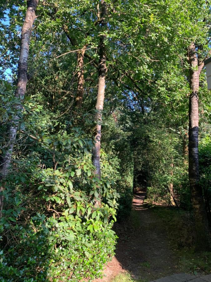 Bonte Specht: Tot Rust Komen In De Natuur! Otterlo Exterior photo