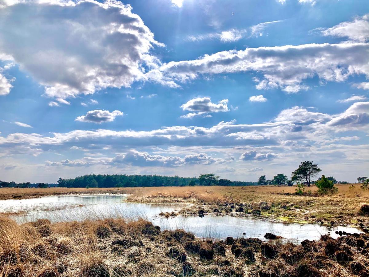 Bonte Specht: Tot Rust Komen In De Natuur! Otterlo Exterior photo